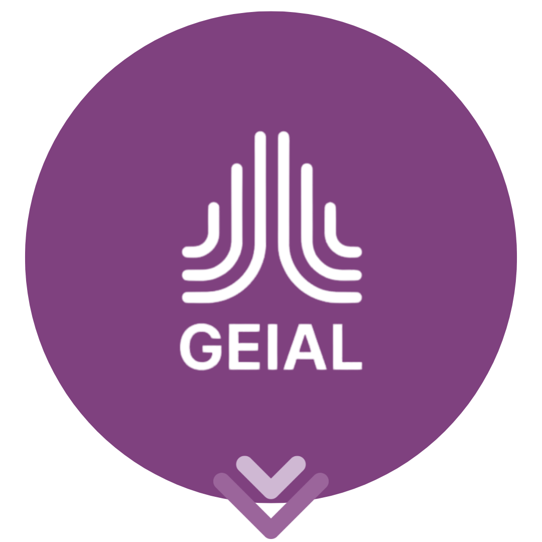 Icons_Roadmap_EIVA_3