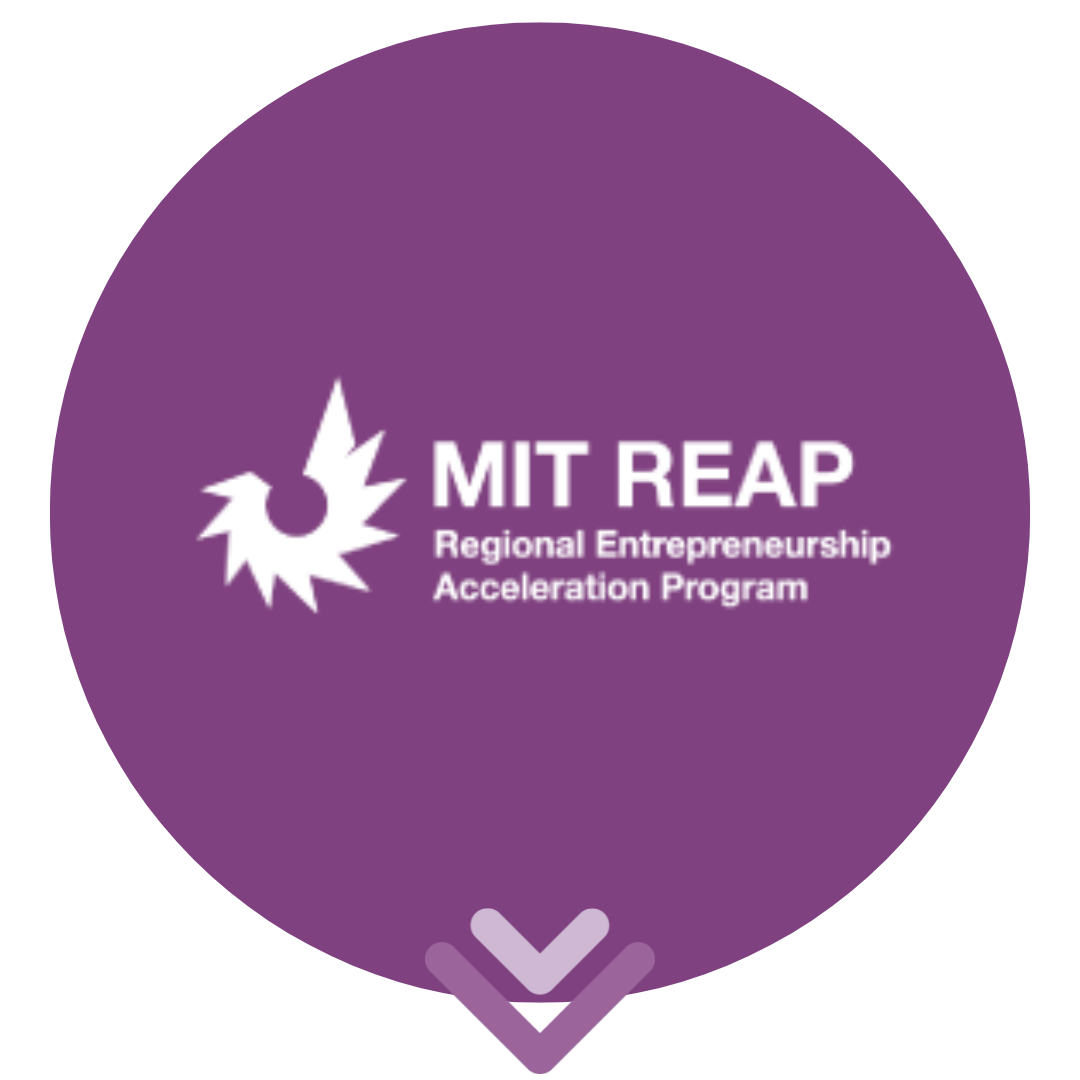 Icons_Roadmap_EIVA_4