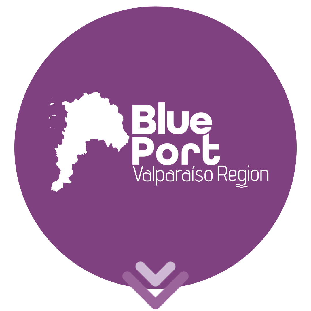 Icons_Roadmap_EIVA_6